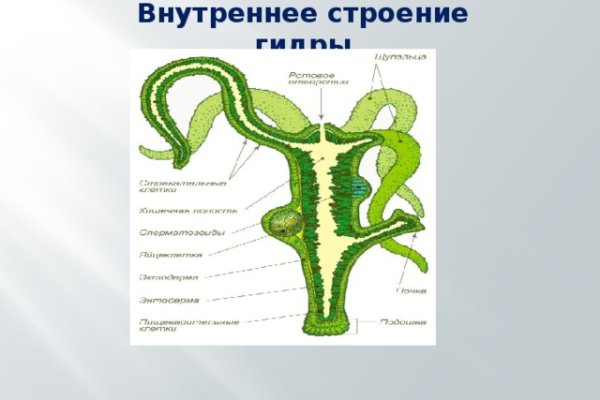 Как войти в кракен