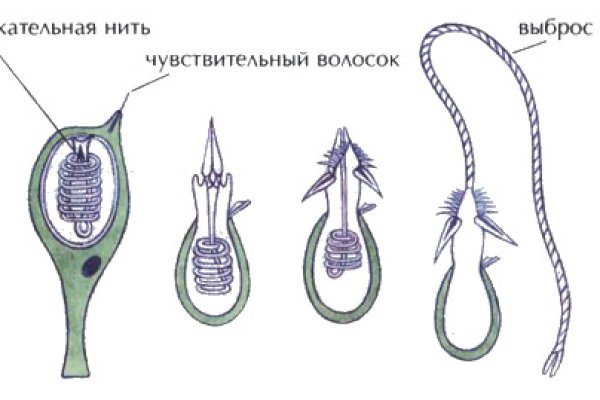 Kraken 16 at ссылка
